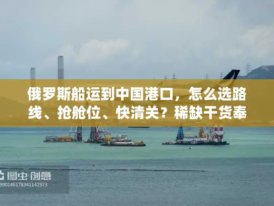 俄罗斯船运到中国港口，怎么选路线、抢舱位、快清关？稀缺干货奉上