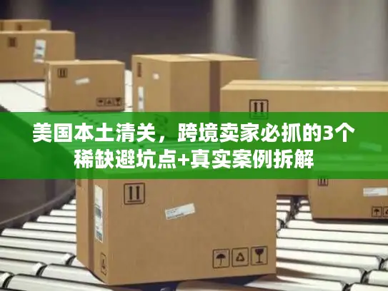 美国本土清关，跨境卖家必抓的3个稀缺避坑点+真实案例拆解