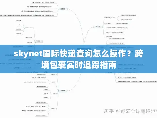 skynet国际快递查询怎么操作？跨境包裹实时追踪指南