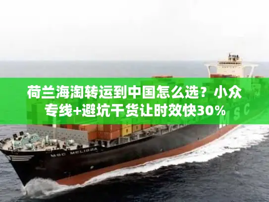 荷兰海淘转运到中国怎么选？小众专线+避坑干货让时效快30%