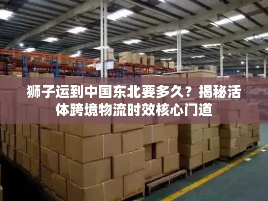 狮子运到中国东北要多久？揭秘活体跨境物流时效核心门道