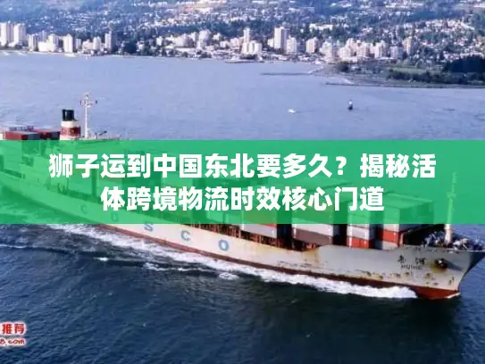 狮子运到中国东北要多久？揭秘活体跨境物流时效核心门道