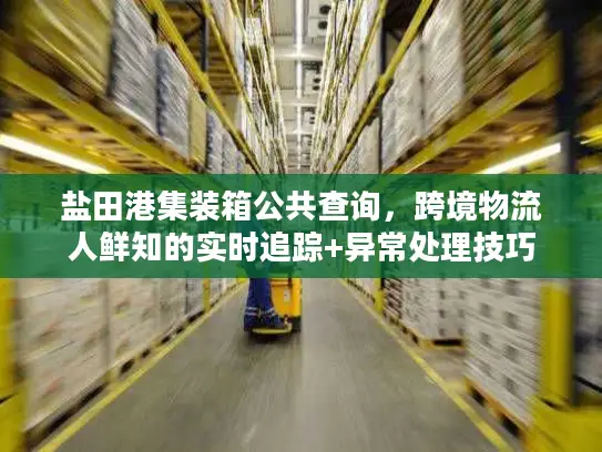 盐田港集装箱公共查询，跨境物流人鲜知的实时追踪+异常处理技巧