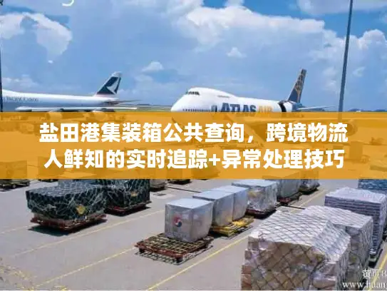 盐田港集装箱公共查询，跨境物流人鲜知的实时追踪+异常处理技巧