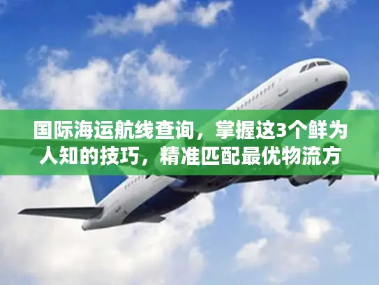 国际海运航线查询，掌握这3个鲜为人知的技巧，精准匹配最优物流方案