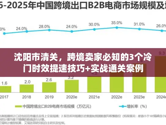 沈阳市清关，跨境卖家必知的3个冷门时效提速技巧+实战通关案例