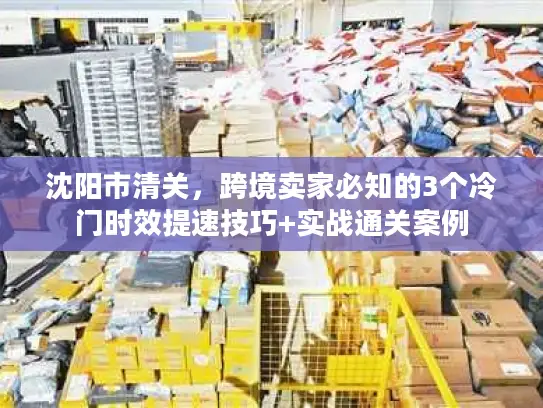 沈阳市清关，跨境卖家必知的3个冷门时效提速技巧+实战通关案例