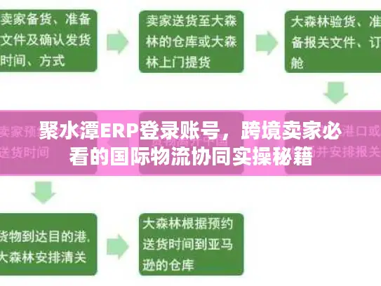 聚水潭ERP登录账号，跨境卖家必看的国际物流协同实操秘籍