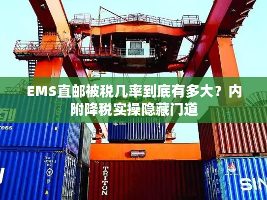 EMS直邮被税几率到底有多大？内附降税实操隐藏门道