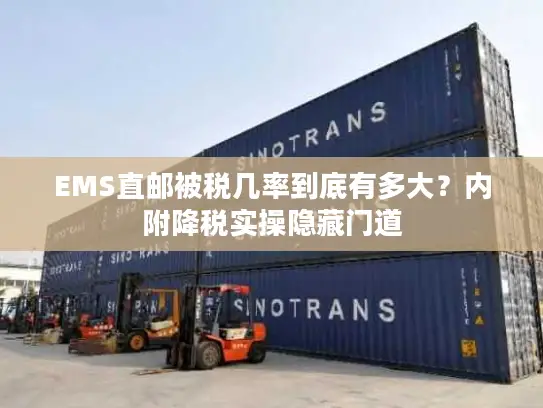 EMS直邮被税几率到底有多大？内附降税实操隐藏门道