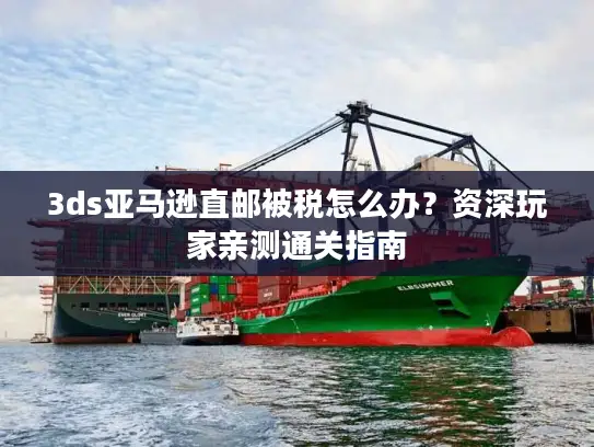 3ds亚马逊直邮被税怎么办？资深玩家亲测通关指南