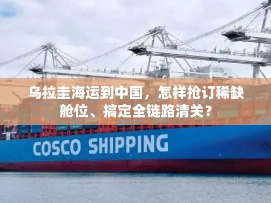 乌拉圭海运到中国，怎样抢订稀缺舱位、搞定全链路清关？