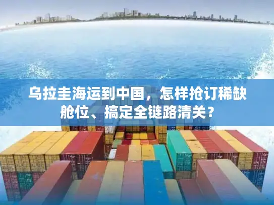 乌拉圭海运到中国，怎样抢订稀缺舱位、搞定全链路清关？