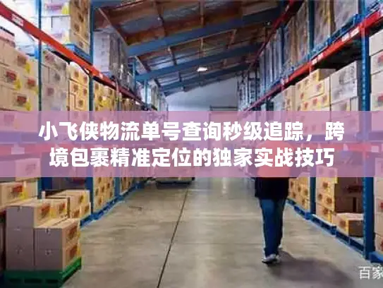 小飞侠物流单号查询秒级追踪，跨境包裹精准定位的独家实战技巧