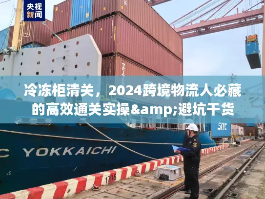 冷冻柜清关，2024跨境物流人必藏的高效通关实操&避坑干货