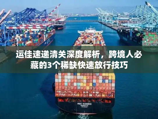 运佳速递清关深度解析，跨境人必藏的3个稀缺快速放行技巧