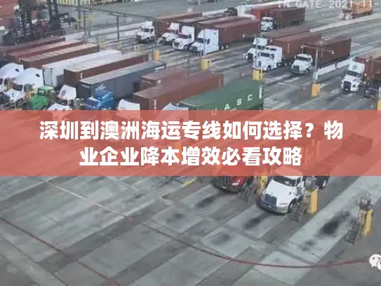 深圳到澳洲海运专线如何选择？物业企业降本增效必看攻略