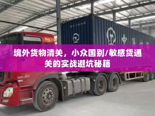 境外货物清关，小众国别/敏感货通关的实战避坑秘籍