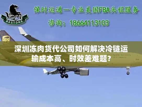 深圳冻肉货代公司如何解决冷链运输成本高、时效差难题？