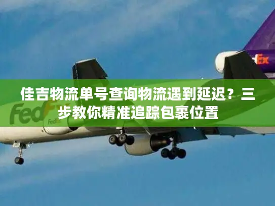 佳吉物流单号查询物流遇到延迟？三步教你精准追踪包裹位置