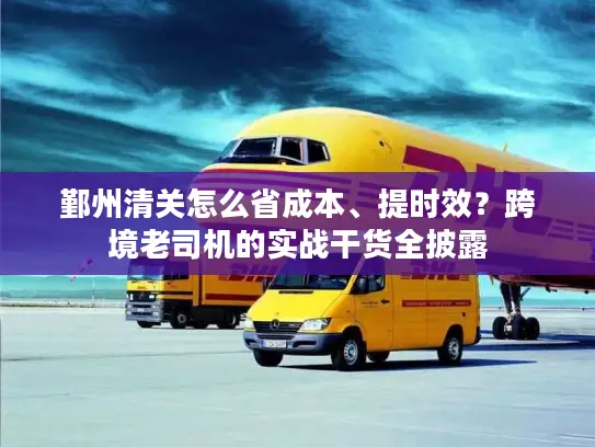 鄞州清关怎么省成本、提时效？跨境老司机的实战干货全披露