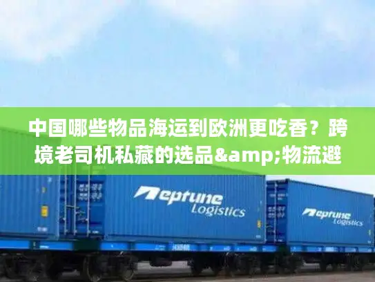 中国哪些物品海运到欧洲更吃香？跨境老司机私藏的选品&物流避坑秘籍