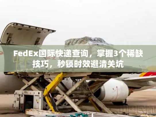 FedEx国际快递查询，掌握3个稀缺技巧，秒锁时效避清关坑