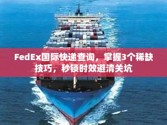 FedEx国际快递查询，掌握3个稀缺技巧，秒锁时效避清关坑