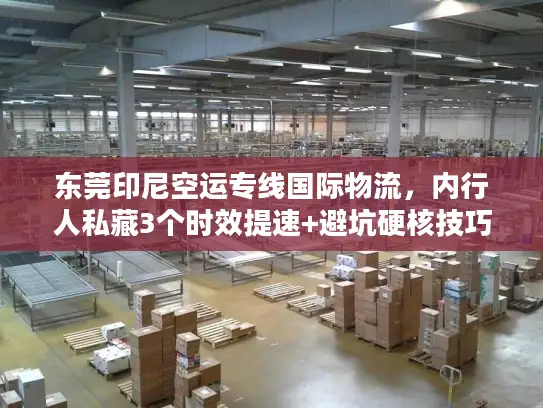 东莞印尼空运专线国际物流，内行人私藏3个时效提速+避坑硬核技巧
