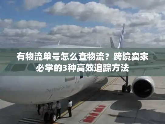 有物流单号怎么查物流？跨境卖家必学的3种高效追踪方法