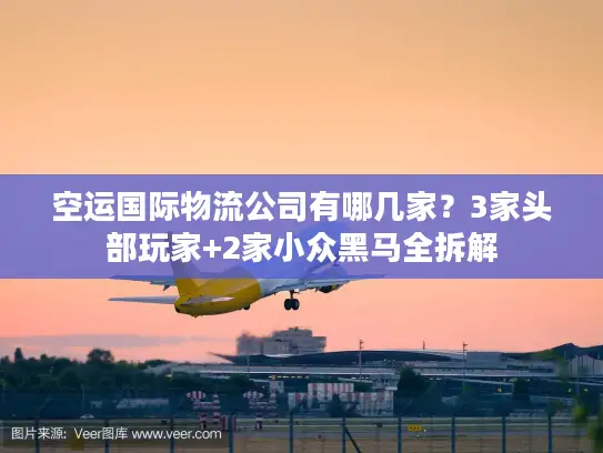 空运国际物流公司有哪几家？3家头部玩家+2家小众黑马全拆解