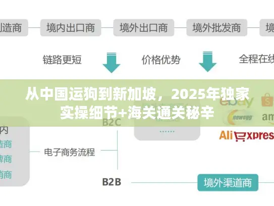 从中国运狗到新加坡，2025年独家实操细节+海关通关秘辛