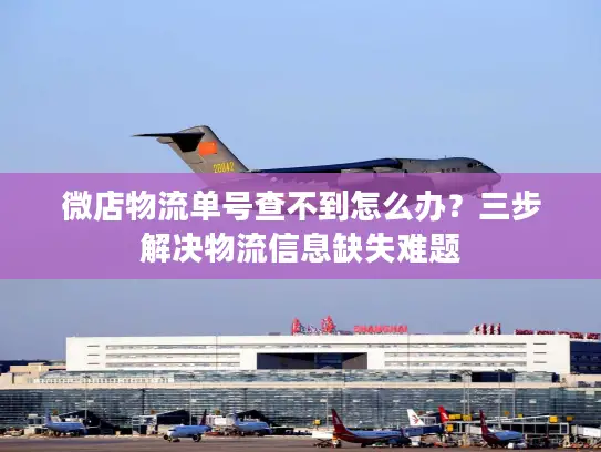 微店物流单号查不到怎么办？三步解决物流信息缺失难题