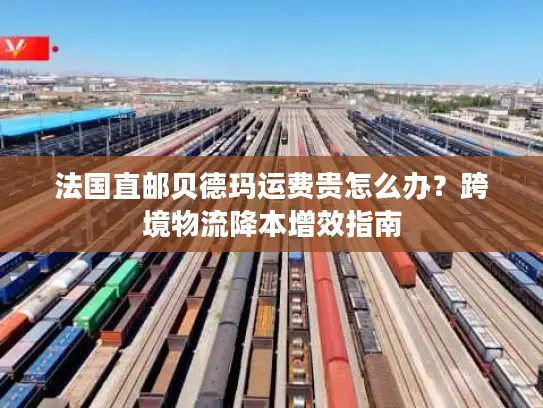法国直邮贝德玛运费贵怎么办？跨境物流降本增效指南