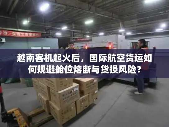 越南客机起火后，国际航空货运如何规避舱位熔断与货损风险？