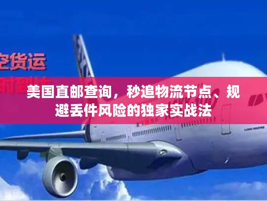 美国直邮查询，秒追物流节点、规避丢件风险的独家实战法