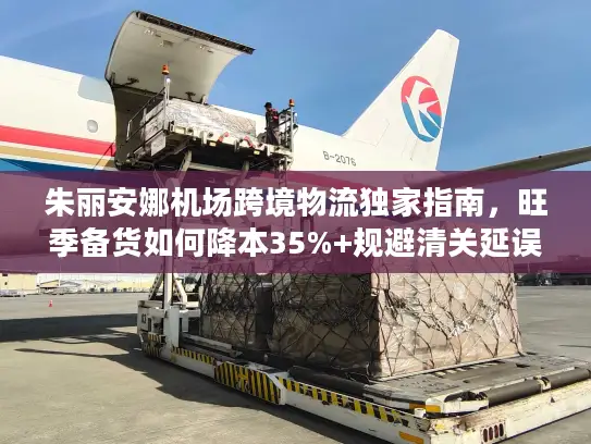 朱丽安娜机场跨境物流独家指南，旺季备货如何降本35%+规避清关延误？