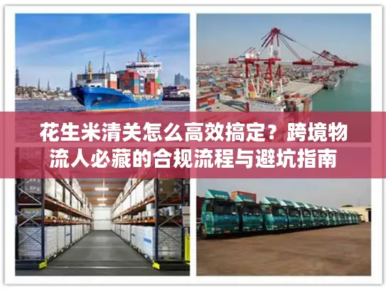 花生米清关怎么高效搞定？跨境物流人必藏的合规流程与避坑指南