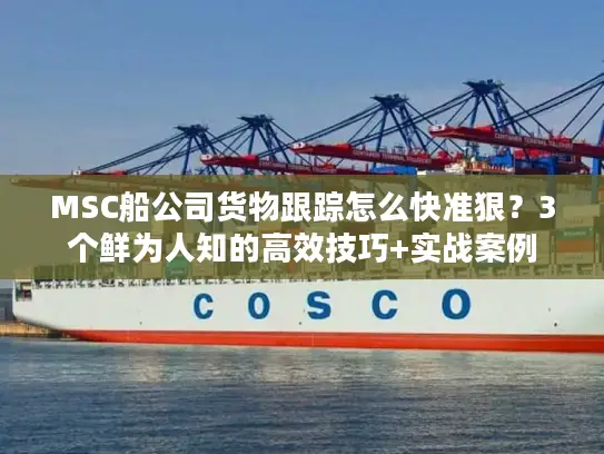 MSC船公司货物跟踪怎么快准狠？3个鲜为人知的高效技巧+实战案例