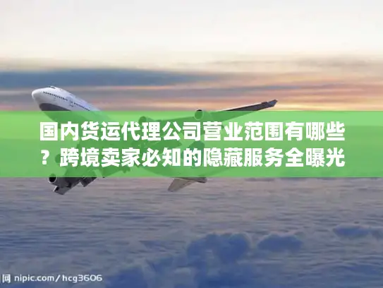 国内货运代理公司营业范围有哪些？跨境卖家必知的隐藏服务全曝光