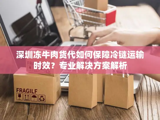 深圳冻牛肉货代如何保障冷链运输时效？专业解决方案解析
