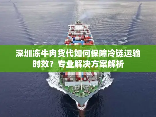 深圳冻牛肉货代如何保障冷链运输时效？专业解决方案解析