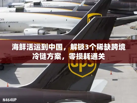 海鲜活运到中国，解锁3个稀缺跨境冷链方案，零损耗通关