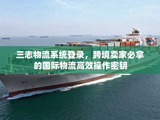 三志物流系统登录，跨境卖家必拿的国际物流高效操作密钥