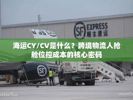海运CY/CV是什么？跨境物流人抢舱位控成本的核心密码