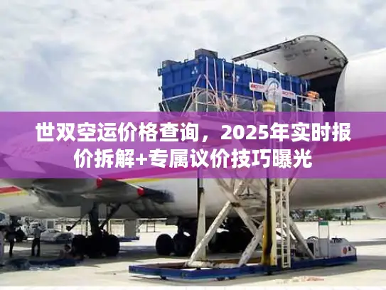 世双空运价格查询，2025年实时报价拆解+专属议价技巧曝光