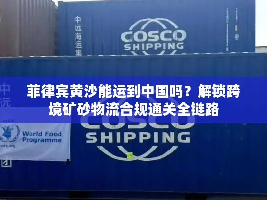 菲律宾黄沙能运到中国吗？解锁跨境矿砂物流合规通关全链路