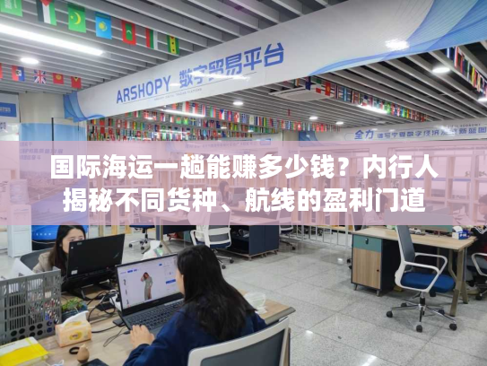 国际海运一趟能赚多少钱？内行人揭秘不同货种、航线的盈利门道