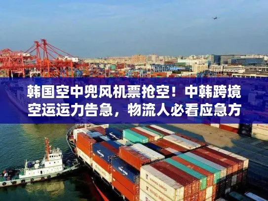 韩国空中兜风机票抢空！中韩跨境空运运力告急，物流人必看应急方案