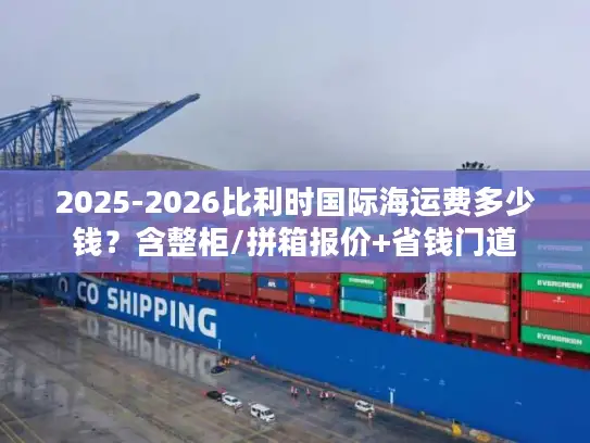 2025-2026比利时国际海运费多少钱？含整柜/拼箱报价+省钱门道